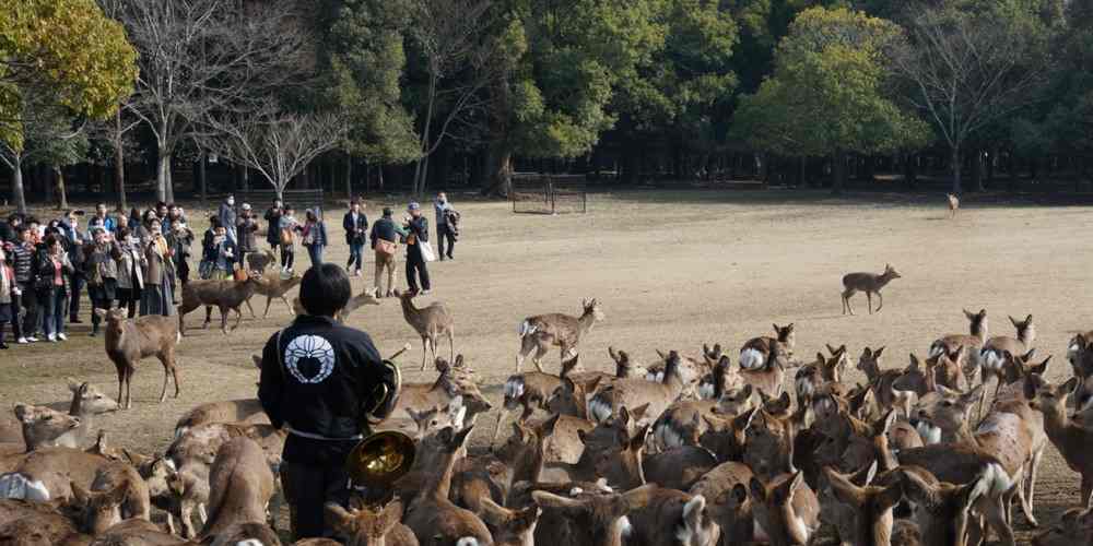 Nara